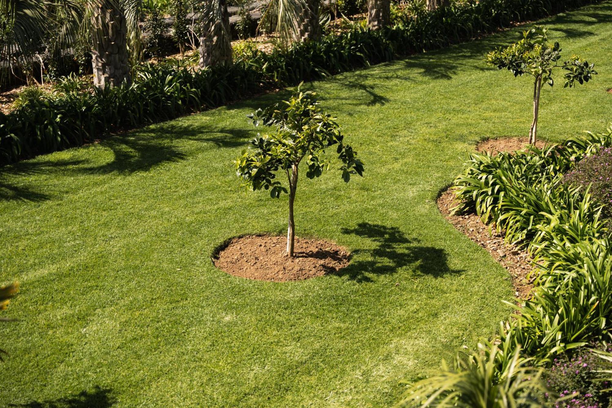 Azores Homes Resort & Spa Ponta Delgada Eksteriør billede